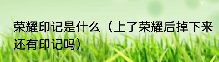 荣耀印记是什么（上了荣耀后掉下来还有印记吗）