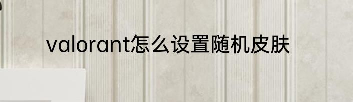 valorant怎么设置随机皮肤