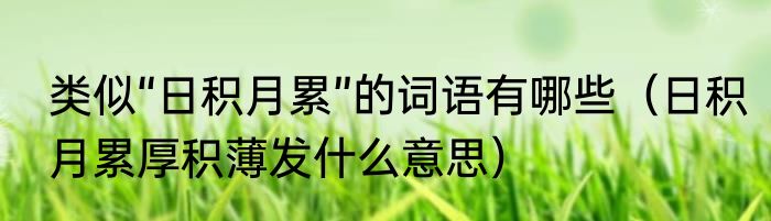类似“日积月累”的词语有哪些（日积月累厚积薄发什么意思）