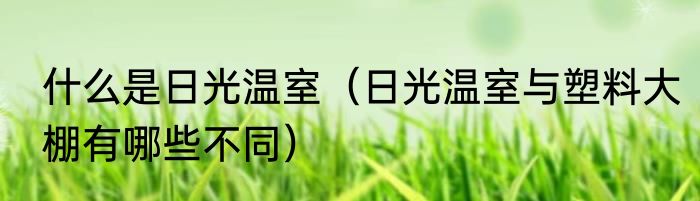 什么是日光温室（日光温室与塑料大棚有哪些不同）