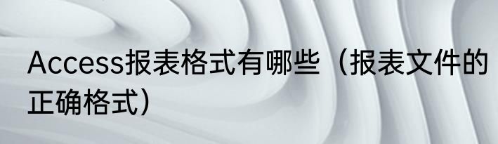 Access报表格式有哪些（报表文件的正确格式）
