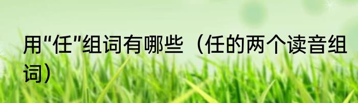 用“任”组词有哪些（任的两个读音组词）