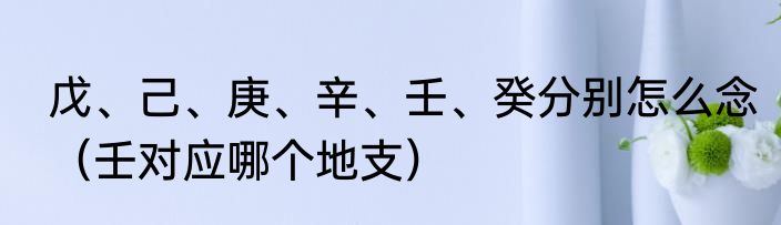 戊、己、庚、辛、壬、癸分别怎么念（壬对应哪个地支）