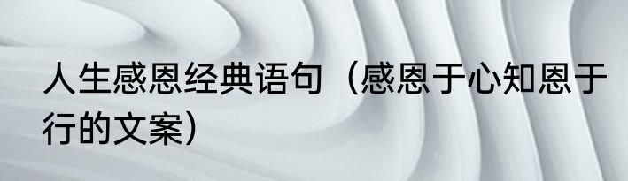 人生感恩经典语句（感恩于心知恩于行的文案）