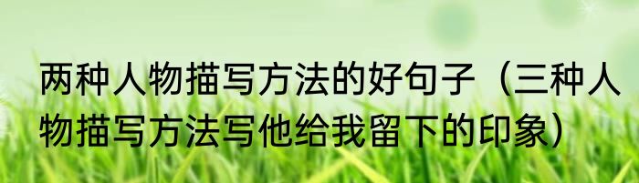两种人物描写方法的好句子（三种人物描写方法写他给我留下的印象）