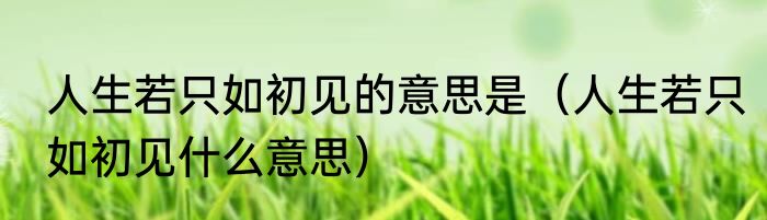 人生若只如初见的意思是（人生若只如初见什么意思）