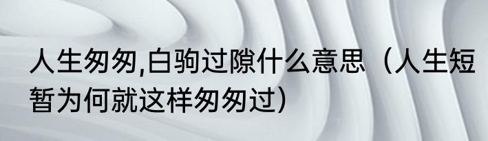人生匆匆,白驹过隙什么意思（人生短暂为何就这样匆匆过）