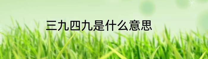 三九四九是什么意思