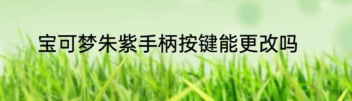 宝可梦朱紫手柄按键能更改吗