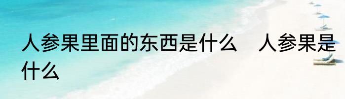 人参果里面的东西是什么　人参果是什么