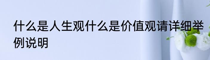 什么是人生观什么是价值观请详细举例说明