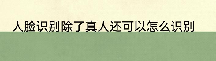 人脸识别除了真人还可以怎么识别