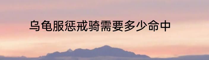 乌龟服惩戒骑需要多少命中