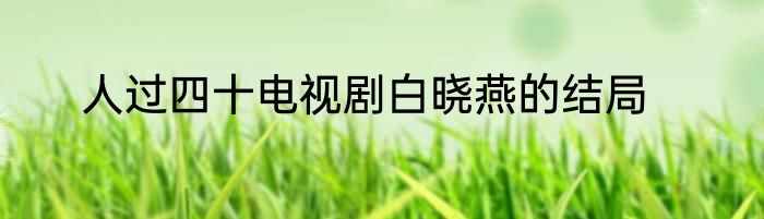 人过四十电视剧白晓燕的结局