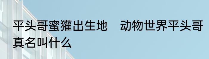 平头哥蜜獾出生地　动物世界平头哥真名叫什么