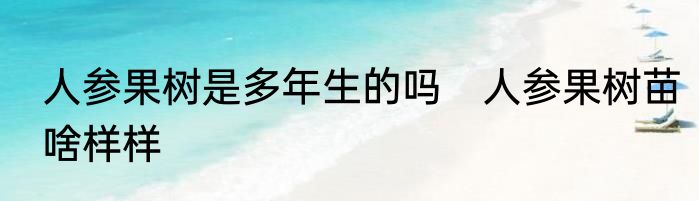 人参果树是多年生的吗　人参果树苗啥样样
