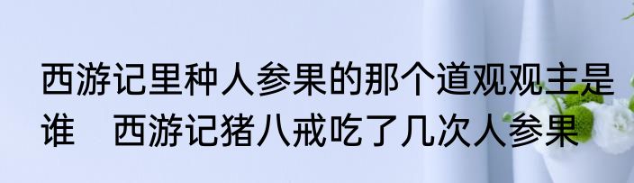 西游记里种人参果的那个道观观主是谁　西游记猪八戒吃了几次人参果