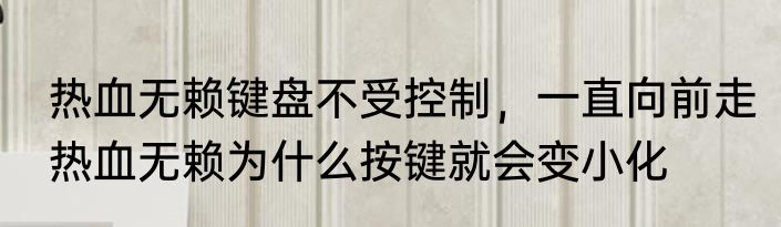 热血无赖键盘不受控制，一直向前走　热血无赖为什么按键就会变小化
