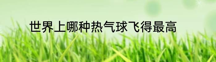 世界上哪种热气球飞得最高