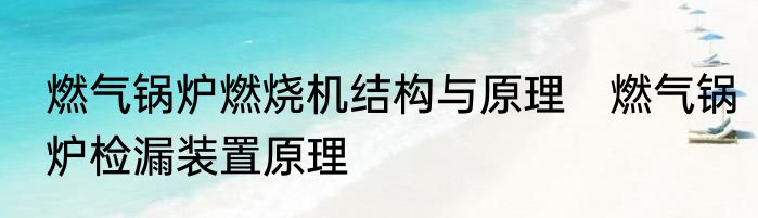 燃气锅炉燃烧机结构与原理　燃气锅炉检漏装置原理