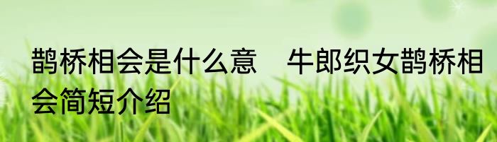 鹊桥相会是什么意　牛郎织女鹊桥相会简短介绍