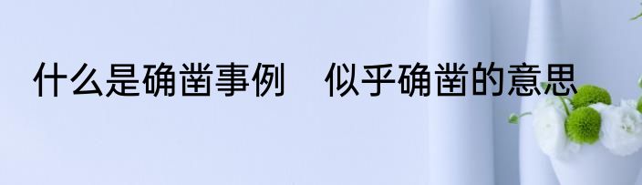 什么是确凿事例　似乎确凿的意思