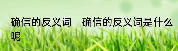 确信的反义词　确信的反义词是什么呢