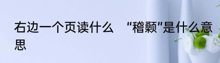右边一个页读什么　“稽颡”是什么意思