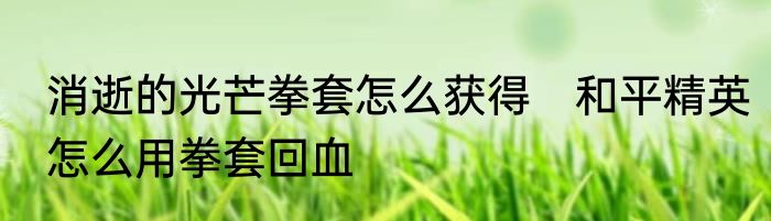 消逝的光芒拳套怎么获得　和平精英怎么用拳套回血