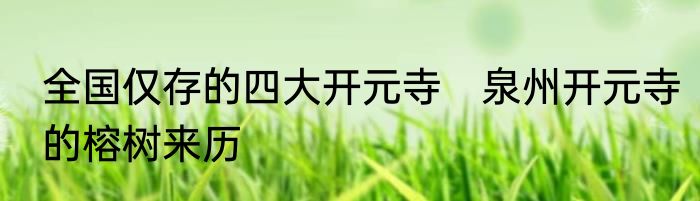 全国仅存的四大开元寺　泉州开元寺的榕树来历