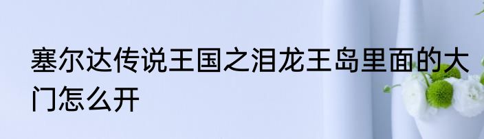 塞尔达传说王国之泪龙王岛里面的大门怎么开