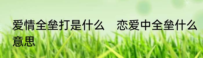 爱情全垒打是什么　恋爱中全垒什么意思