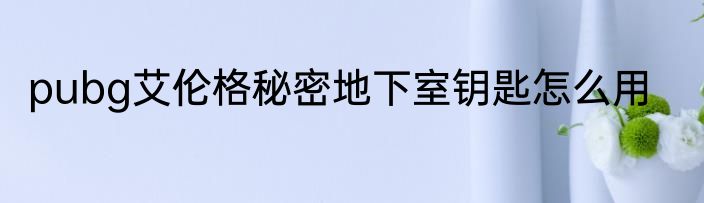 pubg艾伦格秘密地下室钥匙怎么用