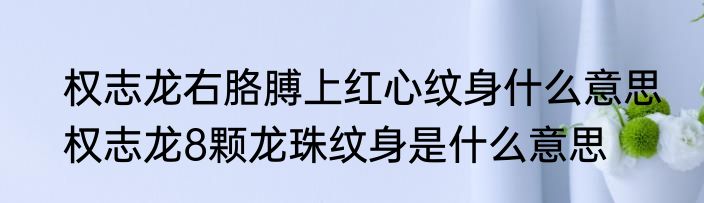 权志龙右胳膊上红心纹身什么意思　权志龙8颗龙珠纹身是什么意思
