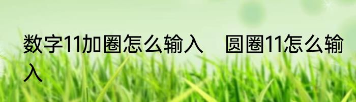数字11加圈怎么输入　圆圈11怎么输入