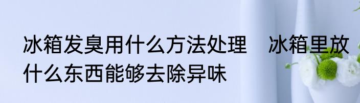 冰箱发臭用什么方法处理　冰箱里放什么东西能够去除异味