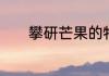 攀研芒果的特点　热芒好吃吗