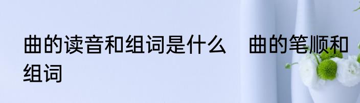 曲的读音和组词是什么　曲的笔顺和组词