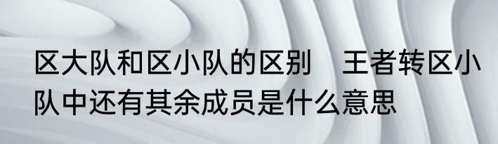 区大队和区小队的区别　王者转区小队中还有其余成员是什么意思
