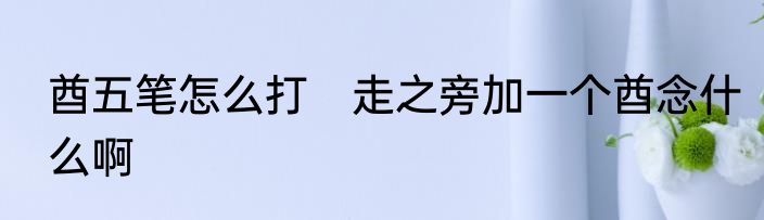 酋五笔怎么打　走之旁加一个酋念什么啊
