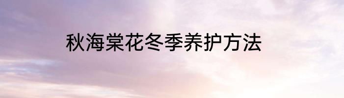 秋海棠花冬季养护方法