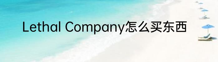Lethal Company怎么买东西