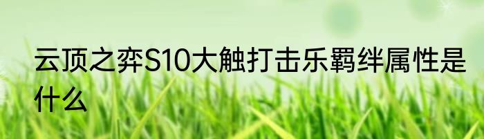 云顶之弈S10大触打击乐羁绊属性是什么