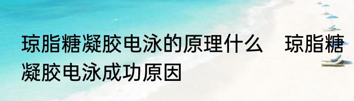 琼脂糖凝胶电泳的原理什么　琼脂糖凝胶电泳成功原因