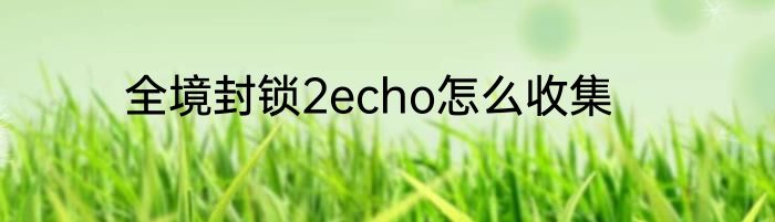 全境封锁2echo怎么收集
