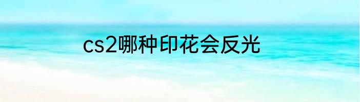 cs2哪种印花会反光
