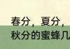 春分，夏分，秋分，冬分，什么时候　秋分的蜜蜂几月分蜂