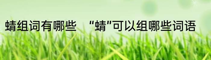 蜻组词有哪些　“蜻”可以组哪些词语