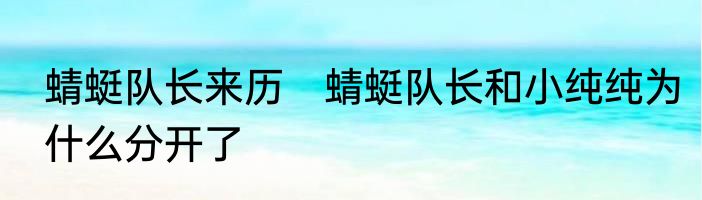 蜻蜓队长来历　蜻蜓队长和小纯纯为什么分开了