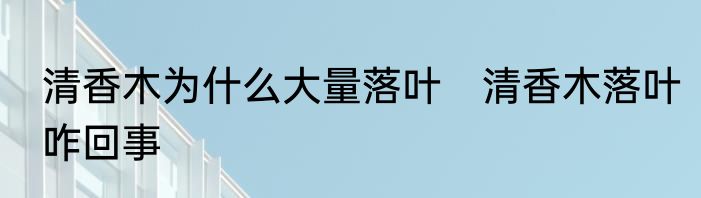 清香木为什么大量落叶　清香木落叶咋回事